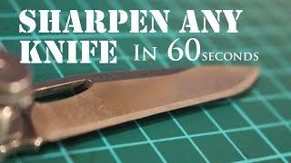 The Laziest Way to Sharpen Any Knife to Razor Sharp 2 [upl. by Carly]