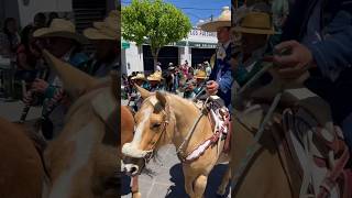 CABALGATA Y TAMBORAZO BANDA [upl. by Darsie]