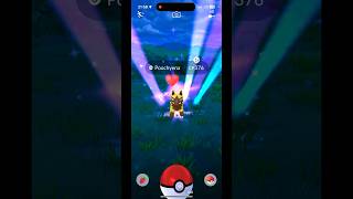 ✨🐾 A WiLD Poochyena APPEARS shinydex shinylivingdex pokemongo hoenn [upl. by Eahsal]