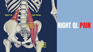 Quadratus Lumborum and Left Psoas Stretches for Pelvic Tilts [upl. by Elokin]