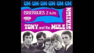 Tony and the Mule Station  Isbergues 2 a m [upl. by Aiyekal254]