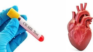 Creatine Phosphokinase Myocardial Bands CKMB blood test Explained [upl. by Nerissa]