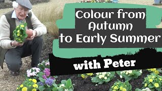 Colour from Autumn to early Summer  Garden Ideas  Peter Seabrook [upl. by Rivera]