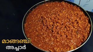 മാങ്ങഞ്ചി അച്ചാർ  Special Manga Inji Achar Recipe [upl. by Kilian]