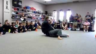 Kenpo Karate Techniques  Jamie Seabrook [upl. by Elitnahc]