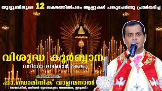 വിശുദ്ധ കുർബ്ബാന സീറോമലബാർ│Fr Dominic Valanmanal│HOLY MASS SyroMalabar│Krupabhishekam [upl. by Burnie503]