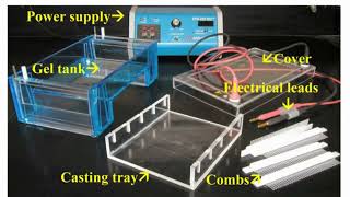 Gel Electrophoresis Casting Materials [upl. by Guimar]