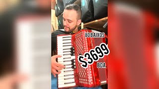 live Acordeon Maestrina 80 Baixos  Vendido [upl. by Carmon]