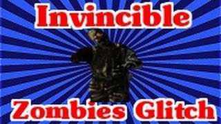 Black Ops 2 Invincible Glitch Zombies in Barn TranZit Zombies [upl. by Aremmat324]