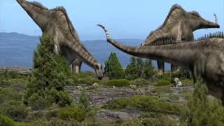 Dinosaur Discoveries Diplodocus [upl. by Synned]