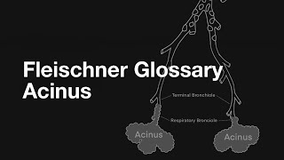 Fleischner Glossary  Acinus [upl. by Ongun]