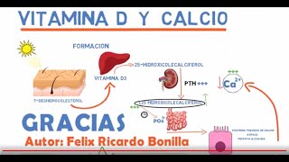 VITAMINA D y CALCIO [upl. by Eissehc]