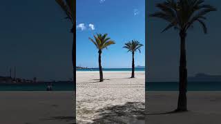 Platja d’Alcúdia shorts platjadalcudia alcudia alcudiabeach playadealcudia mallorca 4k60fps [upl. by Nylarad258]