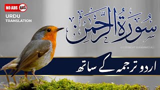 Surah Rahman With Urdu Translation Full  Episode 134  Quran Tilawat Tarjuma [upl. by Trinette]