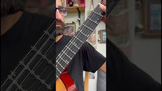 Fretless vs Microtonal Guitar [upl. by Jerroll]