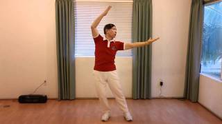 Lin Housheng Shibashi Movement Sample 3 [upl. by Duntson]