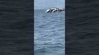 Boat accident breakingnews congogoaboataccident goaaccident latestnews tragedy [upl. by Dde]