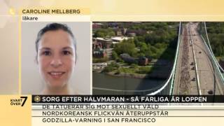 Dog efter Göteborgsvarvet  så farliga är loppen  Nyhetsmorgon TV4 [upl. by Itsrejk]