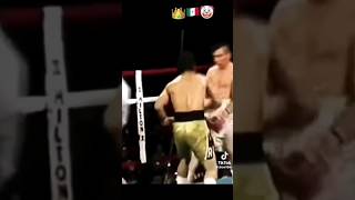 El Pelotero A La Bola El Maromero Paéz youtubeshorts shorts boxing [upl. by Reinhard411]