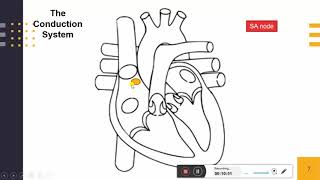 Electrophysiology of Heart Conduction System of Heart [upl. by Perri]