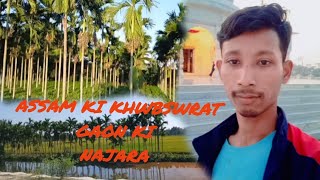 Assam ki khwbswrat Gaon ki Najara My Official videoRahulDaimary780 [upl. by Zita]