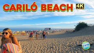 4K  Beach Walk PINAMAR CARILO BEACH Amazing DAY Virtual Travel Vlog SUMMER 2022 [upl. by Audra]