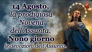 14 Agosto la prodigiosa Novena dell’AssuntaNono giorno le devozioni dell’Assunta [upl. by Notla77]