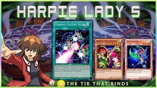 Triangle Harpie Lady OTK Deck  Immune by Trap  YuGiOh Duel Links [upl. by Hillell533]