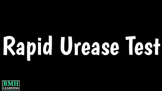 Rapid Urease Test  CLO Test  H pylori Test [upl. by Nana]