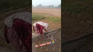 Ak Tara bole  haryanvi ragni  shorts video  YouTube shorts [upl. by Patience]