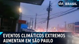 Especialistas sugerem soluções para enfrentar eventos climáticos extremos  SBT Brasil 151024 [upl. by Pavlov]