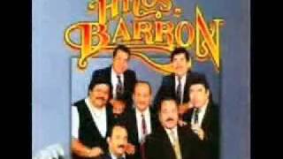 Los Hermanos Barron  Puras Cumbias Western Mix Conjunto Sabor [upl. by Lesig843]