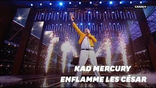 Aux César 2019 Queen honoré par Kad Merad [upl. by Downey397]