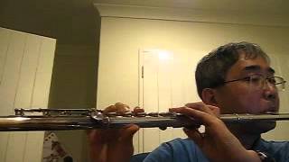 France National Anthem  La Marseillaise  Flute by Won Shik Paik [upl. by Veno]