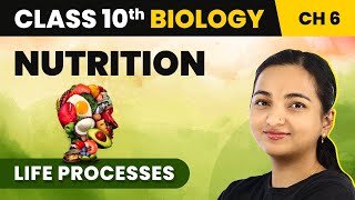 Class 10 Biology Chapter 6  Nutrition  Life Processes [upl. by Nugesulo]