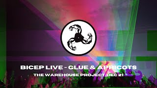 Bicep Live  Glue amp Apricots The Warehouse Project Manchester Dec 21 [upl. by Ainesej]