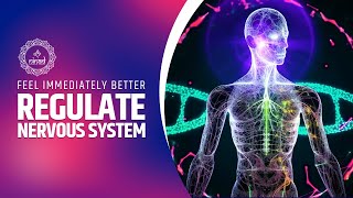 Feel Immediately Better Regulate Nervous System  Vagus Nerve Stimulation Music  Sound Therapy [upl. by Gerrald344]