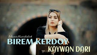 KAYWAN DARI  BIREM KERDOY Official Music Video  2024 [upl. by Estes]