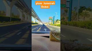 plum Jumeirah Dubai music shorts viralshorts trending viralvideo [upl. by Yrogiarc]