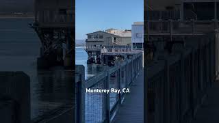 Monterey Bay Aquarium California 2 [upl. by Ardnaiek]