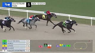 Gulfstream Park Replay Show  November 10 2024 [upl. by Latin]