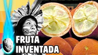 CIENTISTAS FAZEM DESCOBERTA INCRÍVEL SOBRE FRUTA BRASILEIRA [upl. by Cicely]