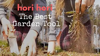 HOW TO USE YOUR HORI HORI KNIFE TO EFFECTIVELY REMOVE WEEDS FROM YOUR GARDEN  HWY1 Homestead [upl. by Gerrilee]