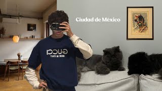 Un Chico regresa a su Hogar la CDMX y sus amigos [upl. by Attekram85]