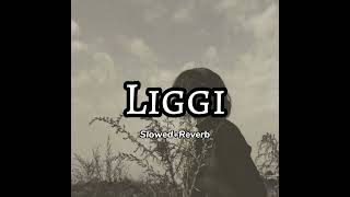 Liggi SlowedReverb  Ritviz [upl. by Kurt]