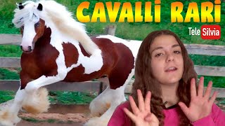 CONOSCI QUESTE 10 RAZZE DI CAVALLI PIU RARE AL MONDO [upl. by Zoa784]