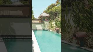 Discover The Pavilions Hotel Bali [upl. by Orin]