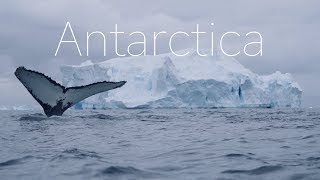 ANTARCTICA  The Frozen Continent  4k DRONE Video [upl. by Terrene860]