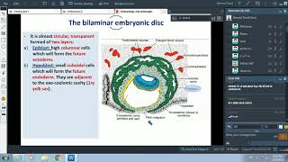 Events of 2nd Week of Pregnancy  Formation of Placenta  Dr Ahmed Farid [upl. by Lisette]