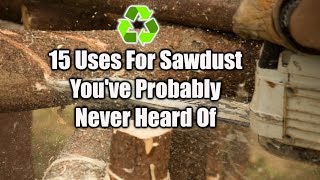 15 Ways To Reuse Sawdust [upl. by Jelene]